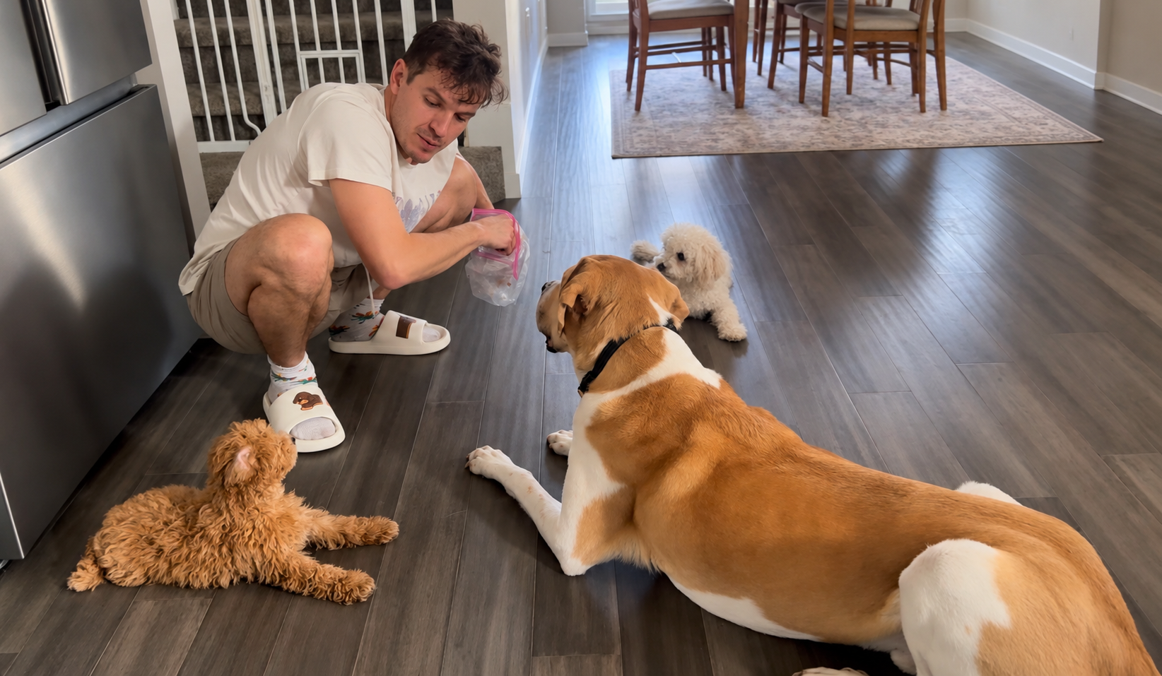Ben crouching with a large tan and white dog, Toto and Little Guy gathered around him.