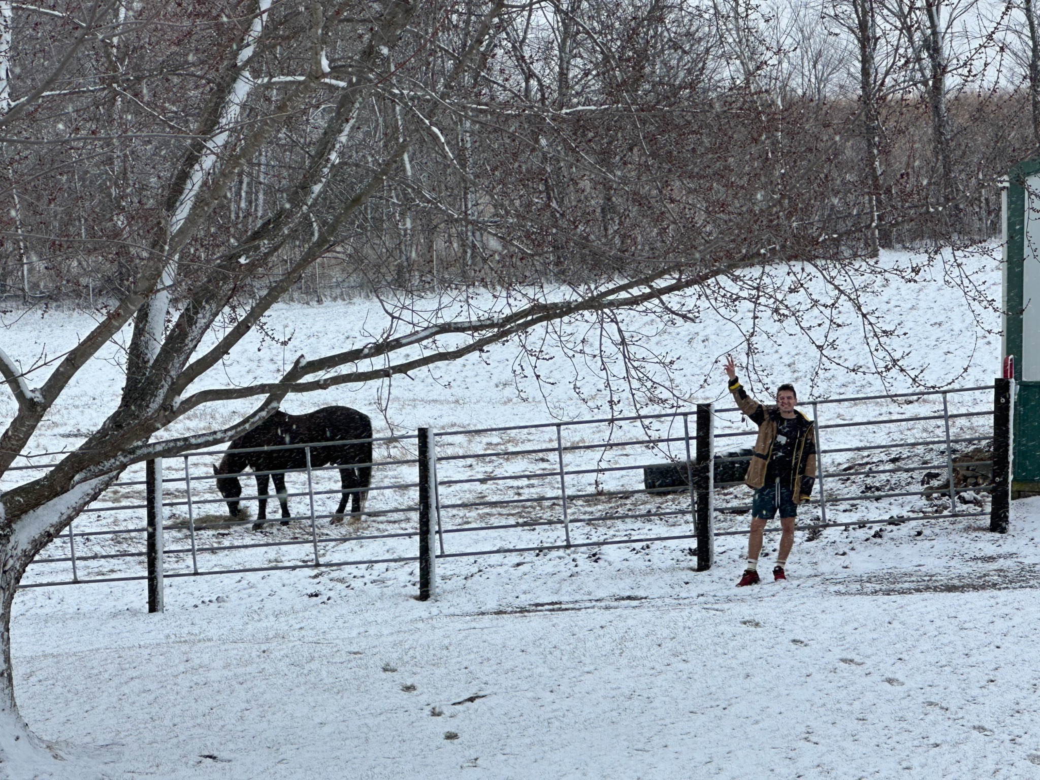 Ben waving beside a horse paddock on a snowy day.