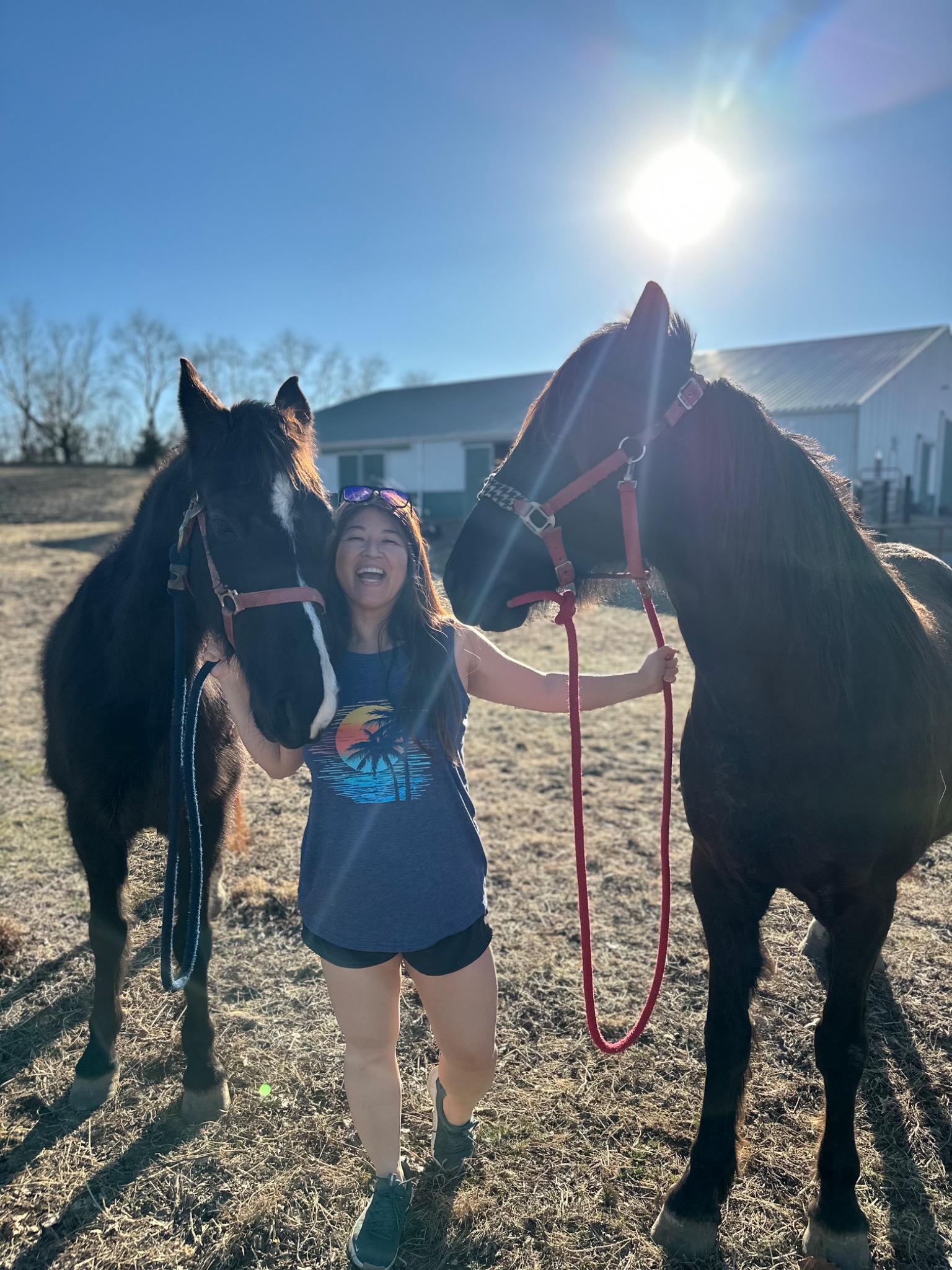 Jen smiling between two dark horses, holding their lead ropes.