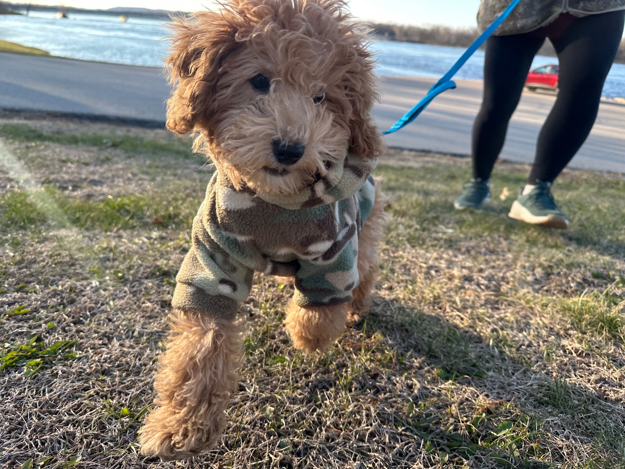 Little Guy wearing a fleece jacket on a walk beside the water.
